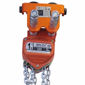 wh c4 combined chain hoist and push trolley 3m hol